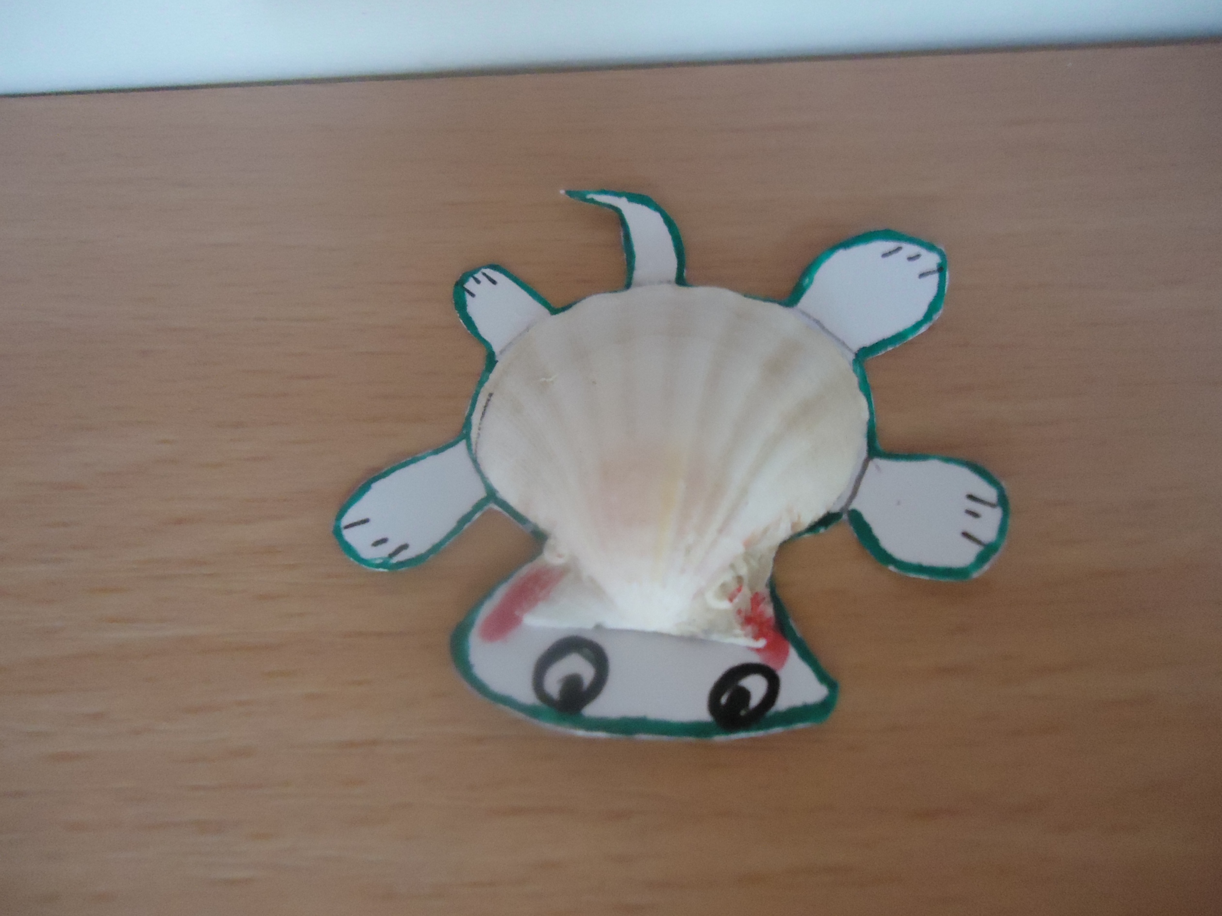 korytnaky